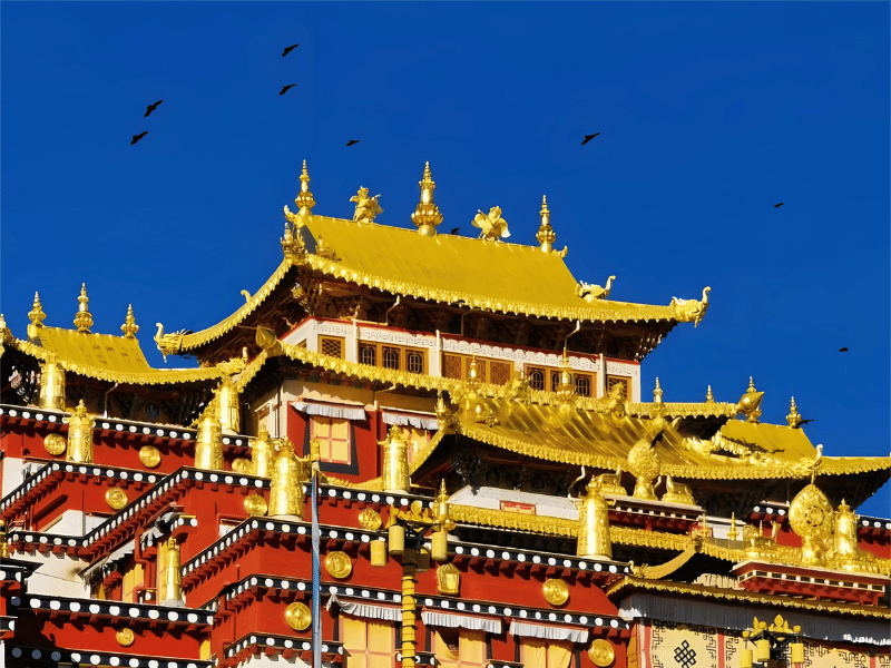 phat-giao-tay-tang-o-shangri-la-2