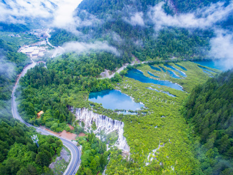 rung-nguyen-sinh-cuu-trai-cau