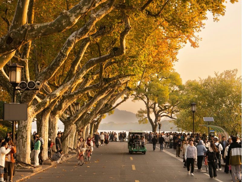 tay-ho-ngun-cam-hung-hang-chau