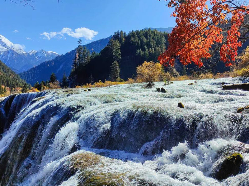 thac-nuoc-cuu-trai-cau