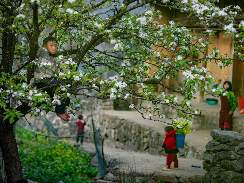 ban-lang-ha-giang-mua-xuan