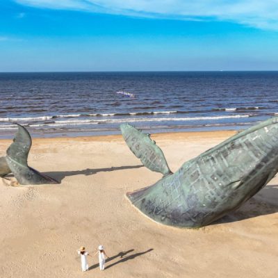 ca-voi-co-don-tour-thanh-dao