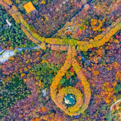 cung-my-linh-tour-nam-kinh-5n5d