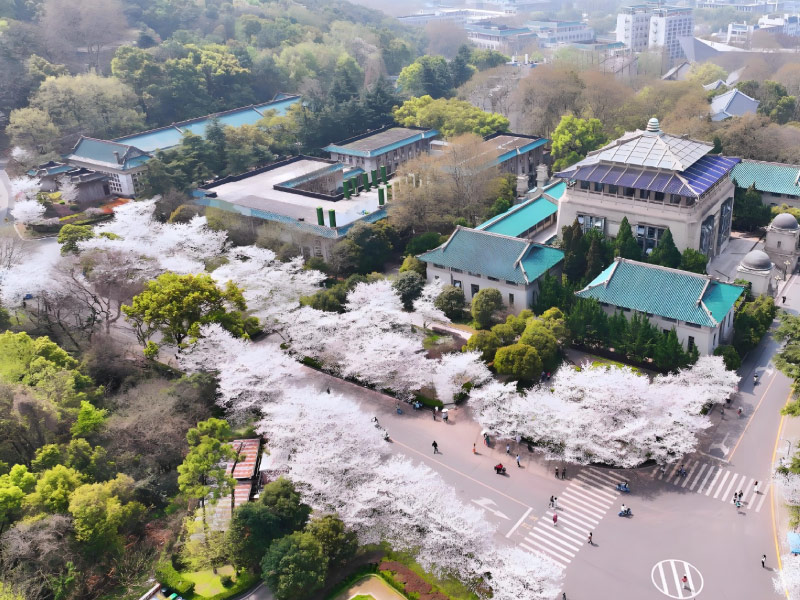 dai-hoc-vu-han-mua-xuan