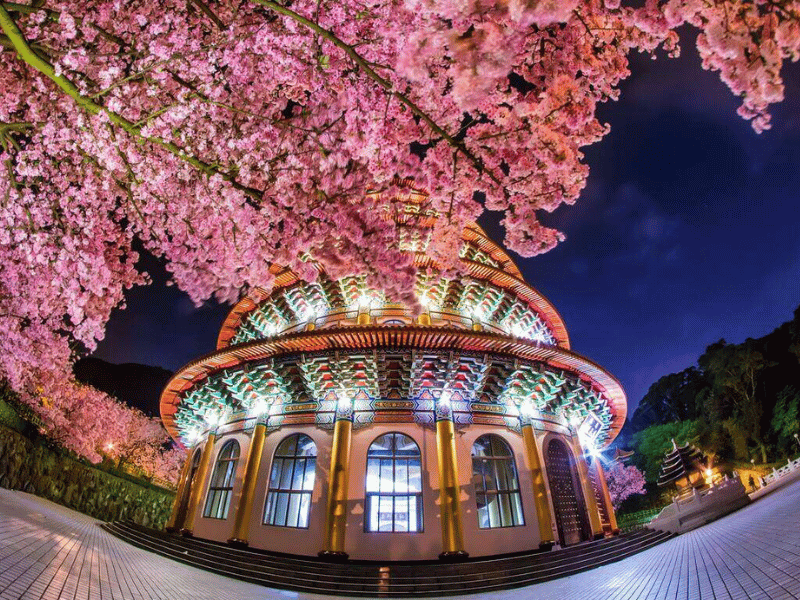 diem-den-mua-xuan-chau-a-3