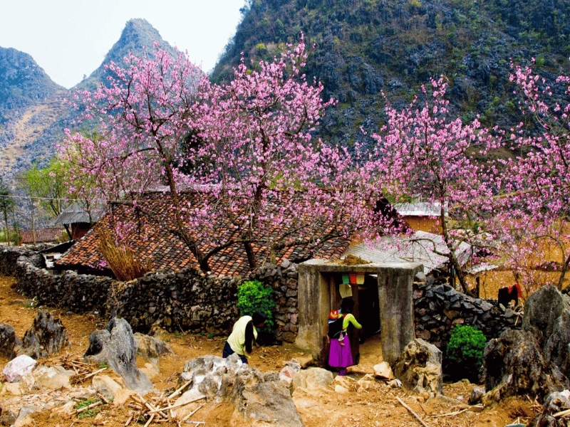 diem-den-mua-xuan-chau-a-4