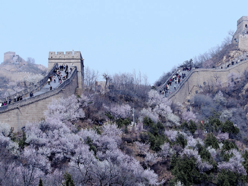 diem-den-mua-xuan-chau-a-5