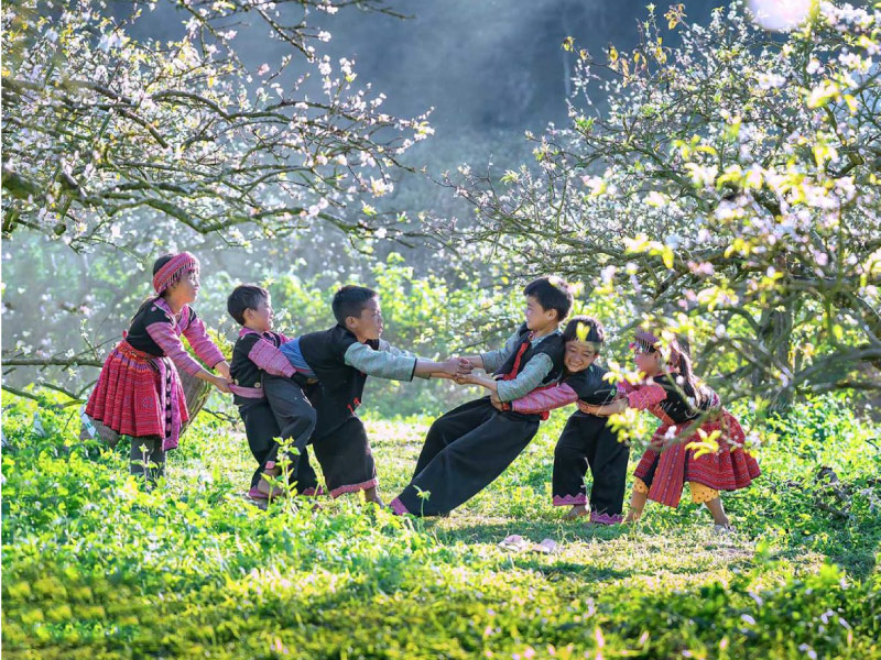 du-lich-dau-nam-tu-tuc-hay-di-tour