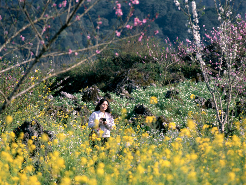 du-lich-mua-xuan-co-gi-dac-biet