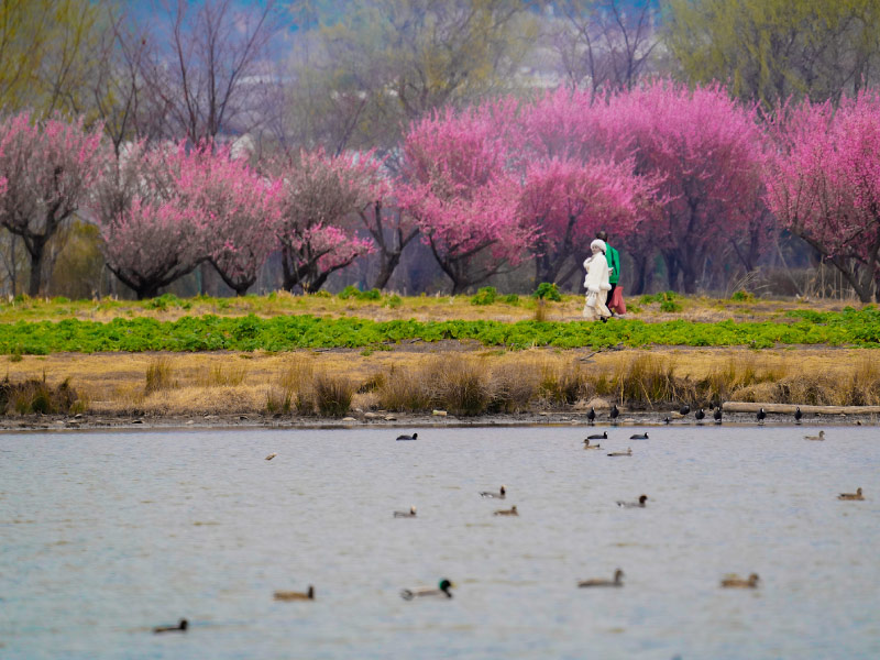khong-khi-le-giang-mua-xuan