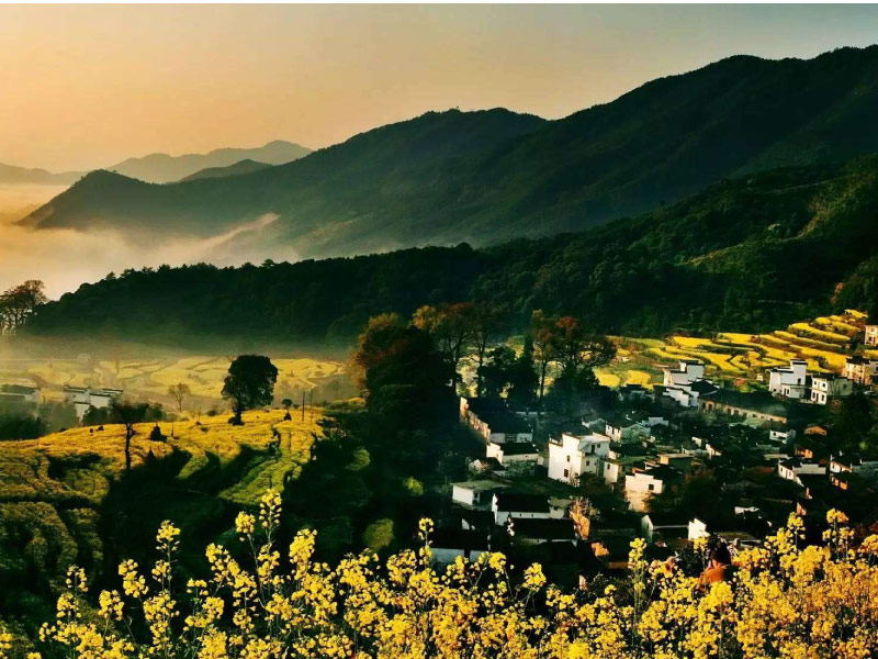 le-hoi-hoa-cai-dau-le-hoi-mua-xuan-chau-a