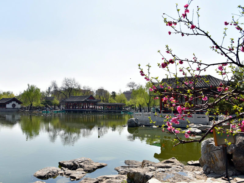 lo-gia-trang-bac-kinh-cho-nguoi-yeu-van-chuong