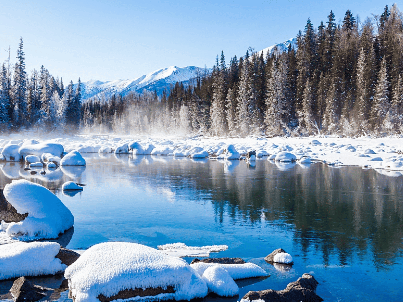 mua-dong-tan-cuong-2