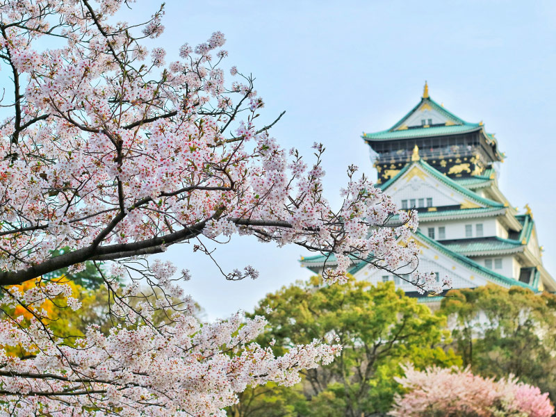 mua-xuan-phu-hop-cho-ai