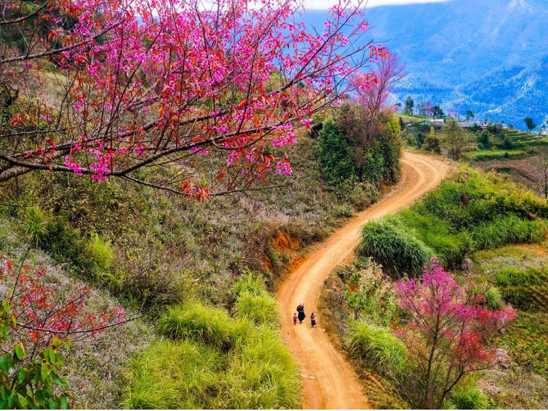 mua-xuan-tay-bac-nui-rung-diu-dang