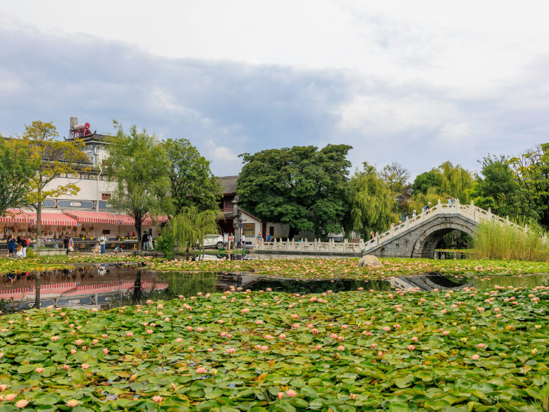 nguoi-to-chau-thich-su-tinh-lang
