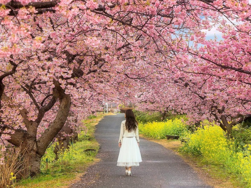 nguoi-yen-tinh-thich-du-lich-mua-xuan