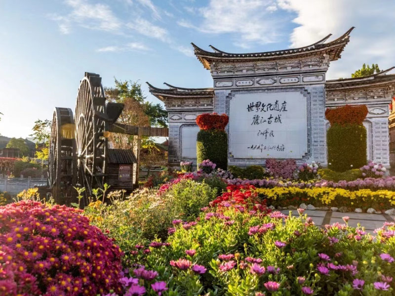 thien-nhien-le-giang-co-linh-hon