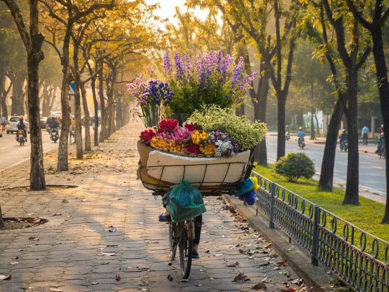 thoi-diem-du-lich-dau-nam