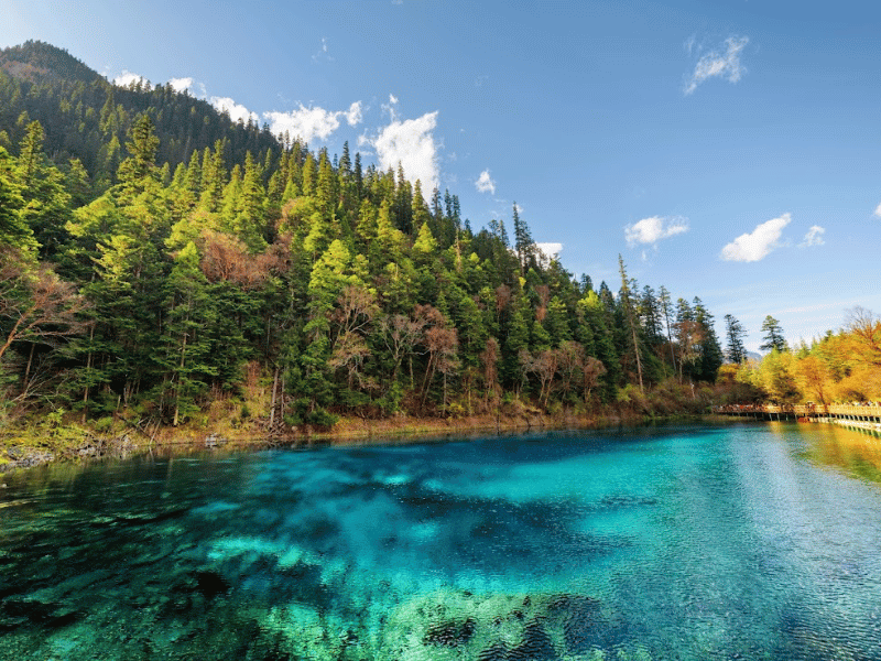 tin-nguong-nguoi-tang-cuu-trai-cau-3