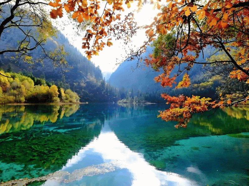 tin-nguong-nguoi-tang-cuu-trai-cau-4