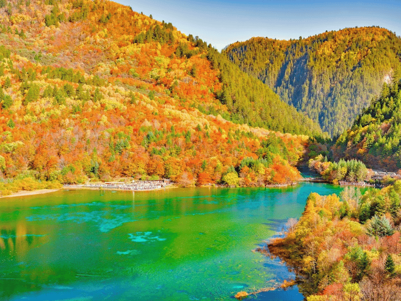 tin-nguong-nguoi-tang-cuu-trai-cau-5-3