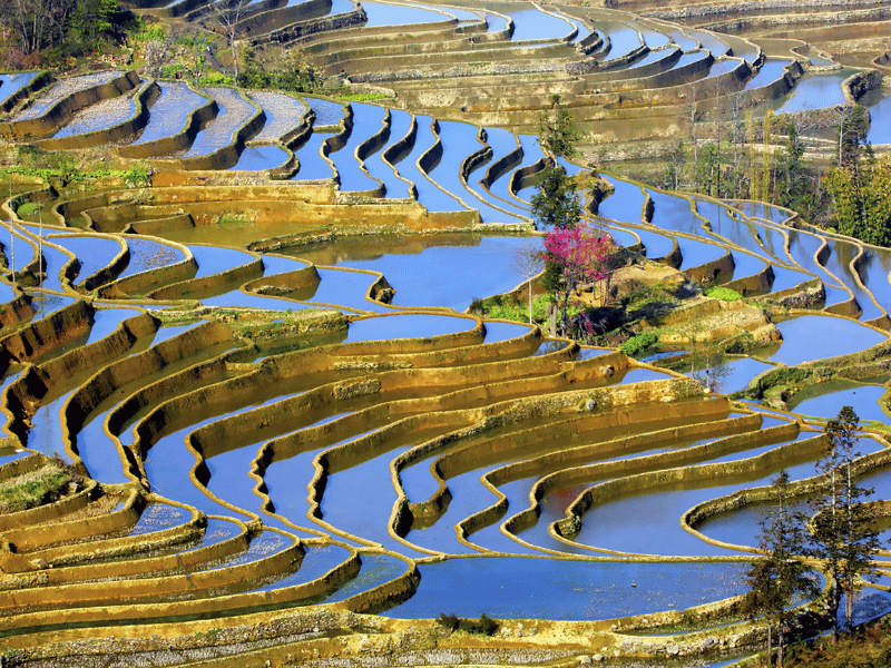 trai-nghiem-du-lich-van-nam-4