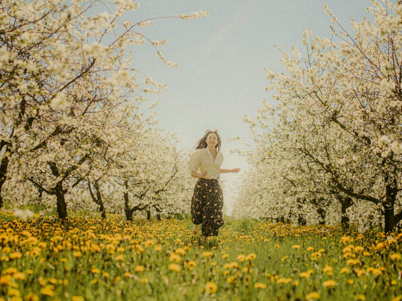 co-nen-du-lich-nuoc-ngoai-dip-tet-nguyen-dan-khong