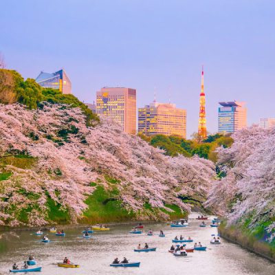 cong-vien-Ueno-mua-hoa-anh-dao