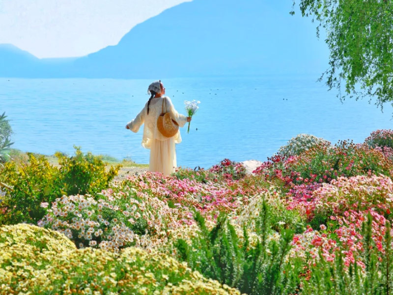 dai-ly-mua-xuan-van-nam