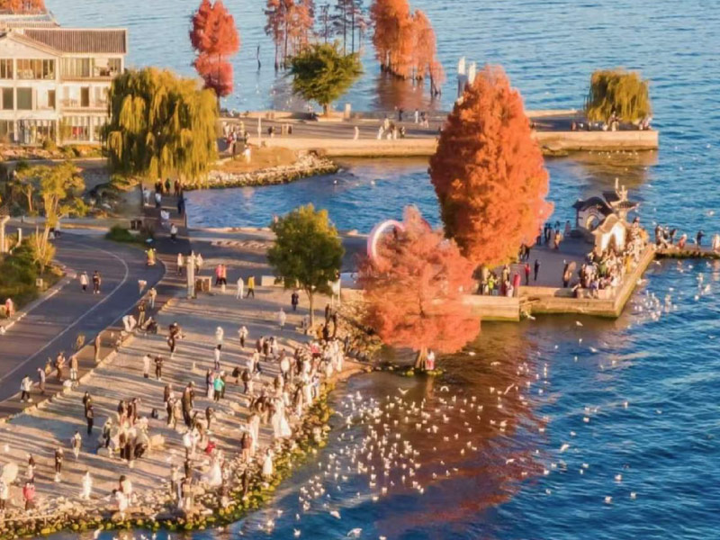 dai-ly-o-dau-van-nam