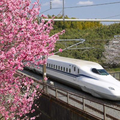 di-chuyen-bang-shinkasen-tour-nhat-ban-hoa-anh-dao-5n5d