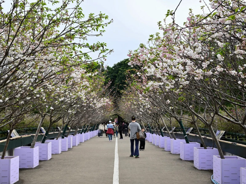 du-bao-thoi-tiet-mien-nam-trung-quoc-tet