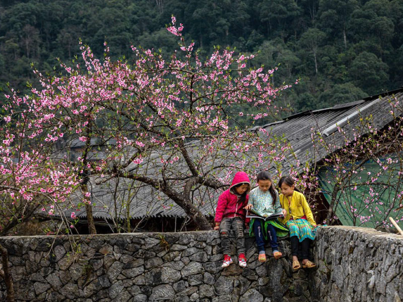 du-kien-tho-tiet-dong-bac-tet-2026