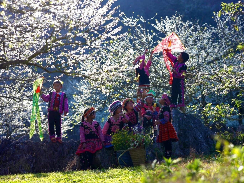 du-kien-thoi-tiet-tay-bac-tet-2026