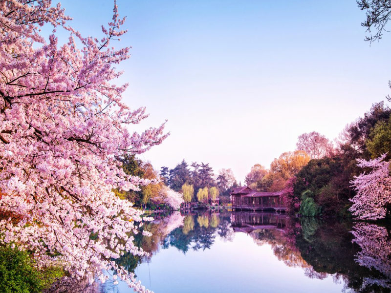 hang-chau-diem-tham-quan-giang-nam-trung-quoc