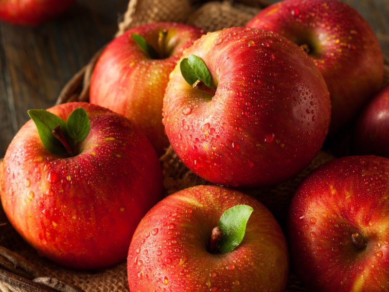 lua-chon-trai-cay-tuoi-cho-mam-ngu-qua