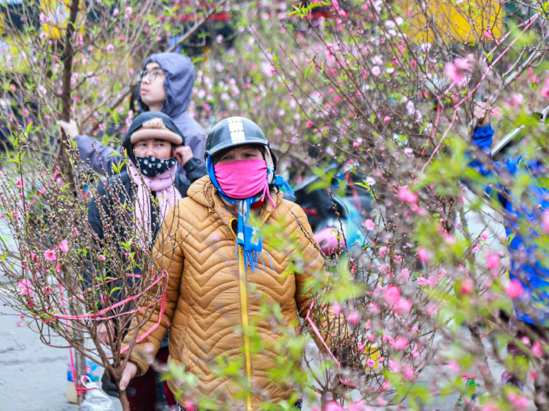 luu-y-du-xuan-mien-bac-tet-2026