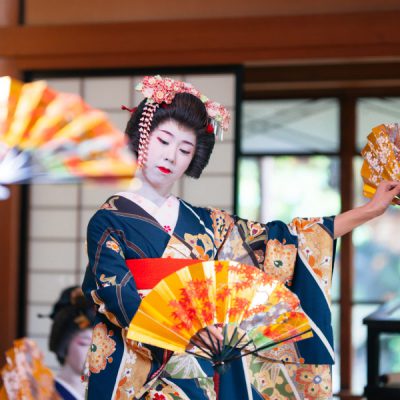 maiko-show-tour-nhat-ban-hoa-anh-dao-5n5d