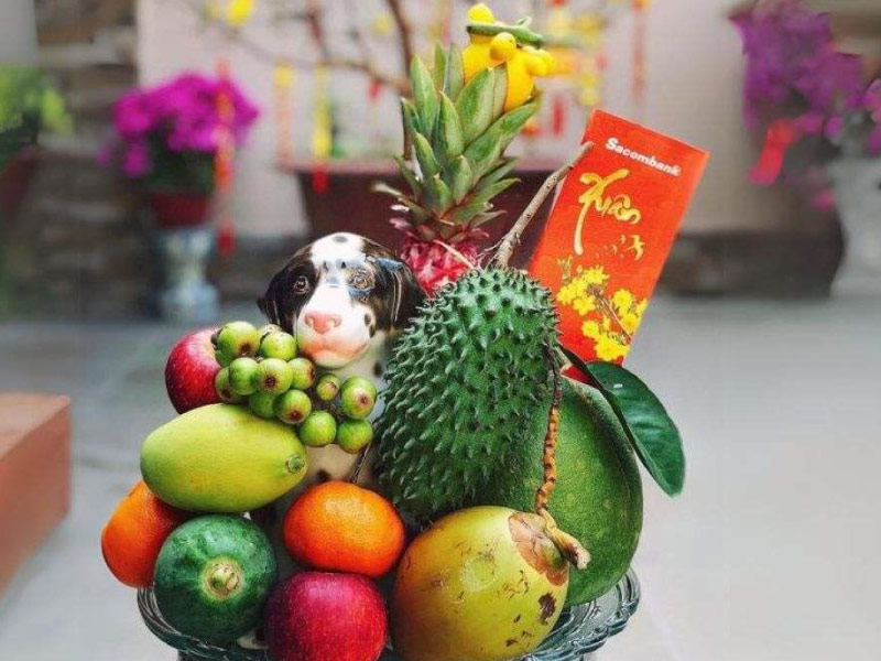 mam-ngu-qua-mien-nam