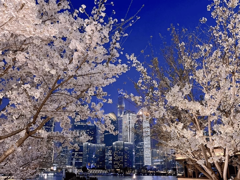 mua-xuan-thuong-hai-2