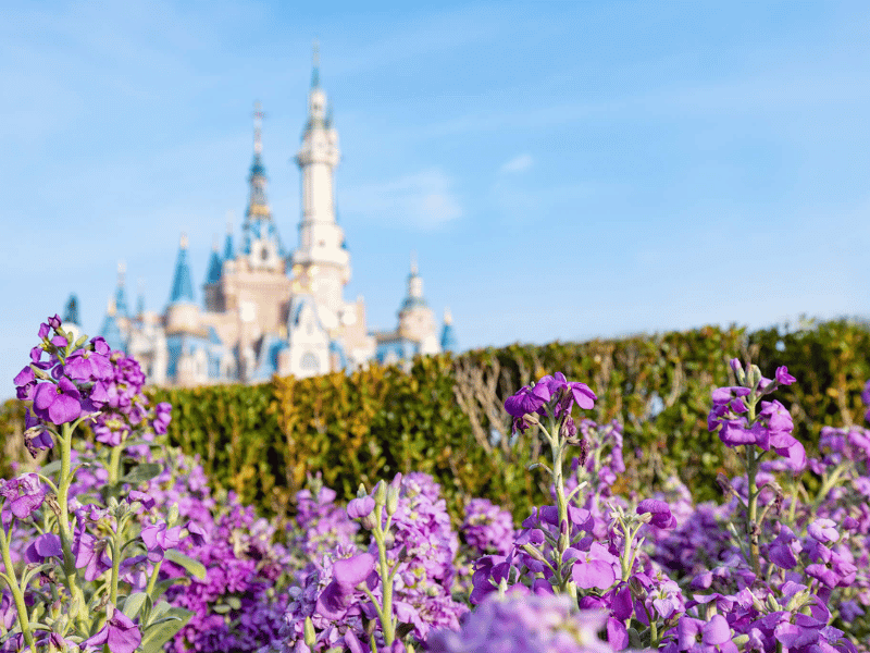 mua-xuan-thuong-hai-4