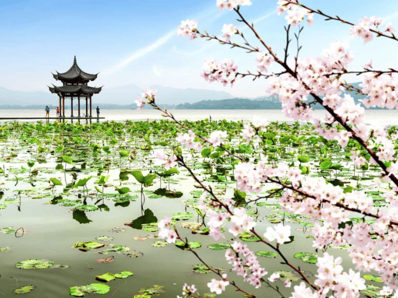 mua-xuan-trung-quoc-khac-gi-mua-thu