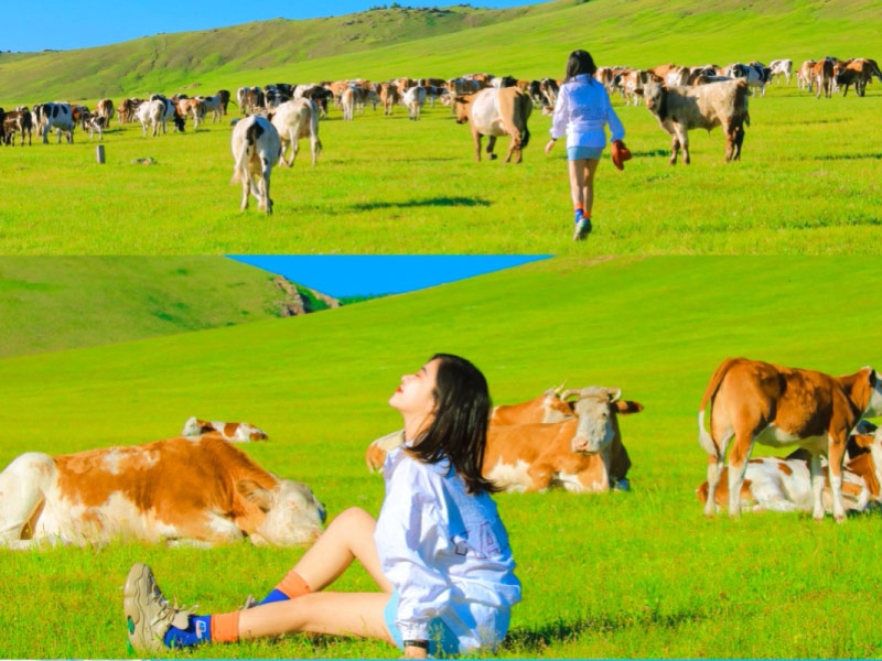 noi-mong-diem-du-lich-trung-quoc-khac-biet