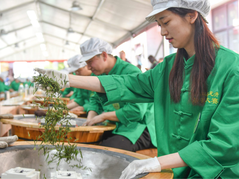 sao-tra-tren-chao-nong