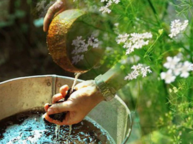 tam-la-mui-gia-cuoi-nam