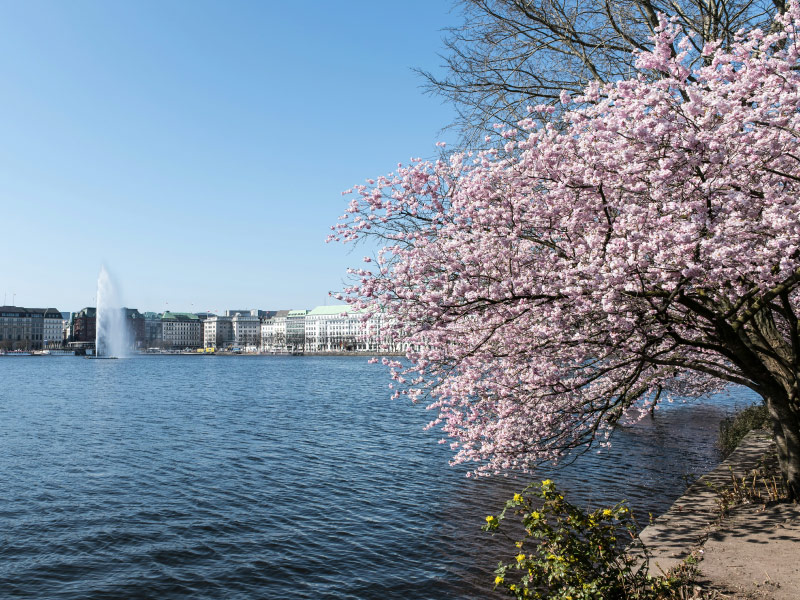 uu-diem-va-nhuoc-diem-du-lich-tet-nguyen-dan-nuoc-ngoai