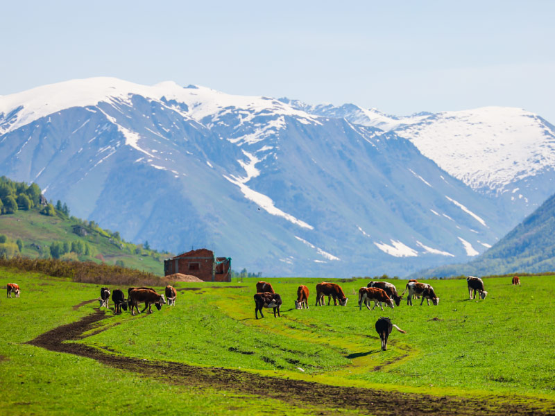 ve-dep-binh-yen-lang-hemu-tan-cuong