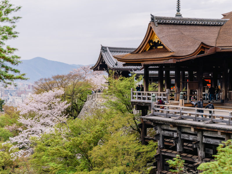 chua-Kiyomizu-dera-diem-ngam-hoa-anh-dao-nhat-ban