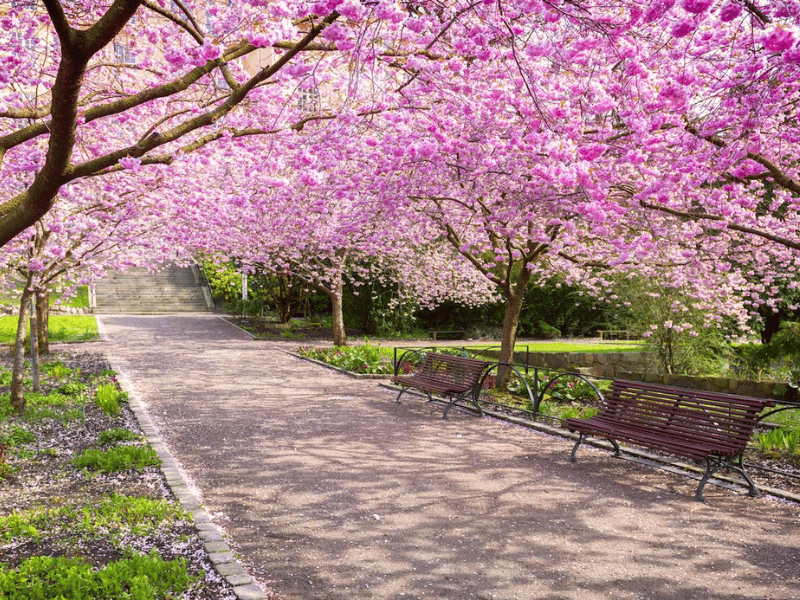 chuan-bi-gi-khi-di-du-xuan-dai-ngay-3